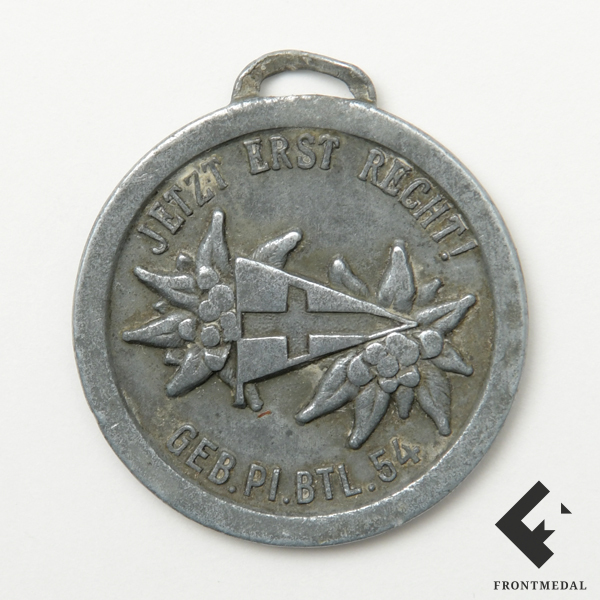 Памятный жетон "GEB.PI.BTL.54" за кампанию 1942-43 гг. 