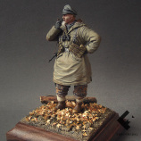 Командир Войск СС (Венгрия, осень 1944)