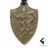 Жетон/оберег "ULLR"