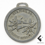 Памятный жетон 54-го горного саперного батальона за кампанию 1943 г.