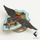 Знак "Авиационный механик школ механиков ВВС РККА"