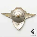 Знак "Авиационный механик школ механиков ВВС РККА"