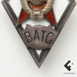 Знак (ромбик) "ВАТС"